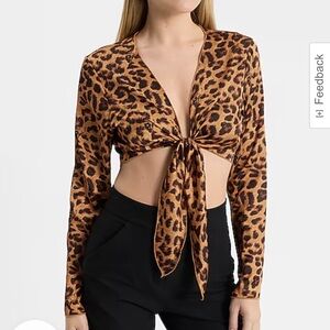 Leopard Satin V-Neck Long Sleeve Tie Front Cropped Top